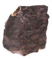 NWA869 Stony Meteorite With Fusion Crust