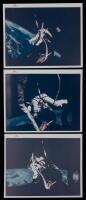 WITHDRAWN - Three Gemini 8 Buzz Aldrin Vintage Color Red Number Photographs